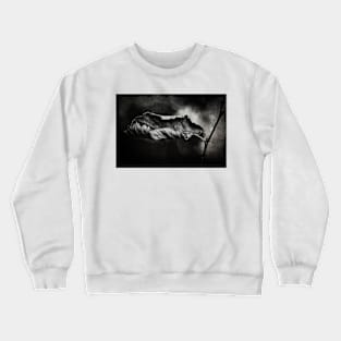 Outside my window Crewneck Sweatshirt